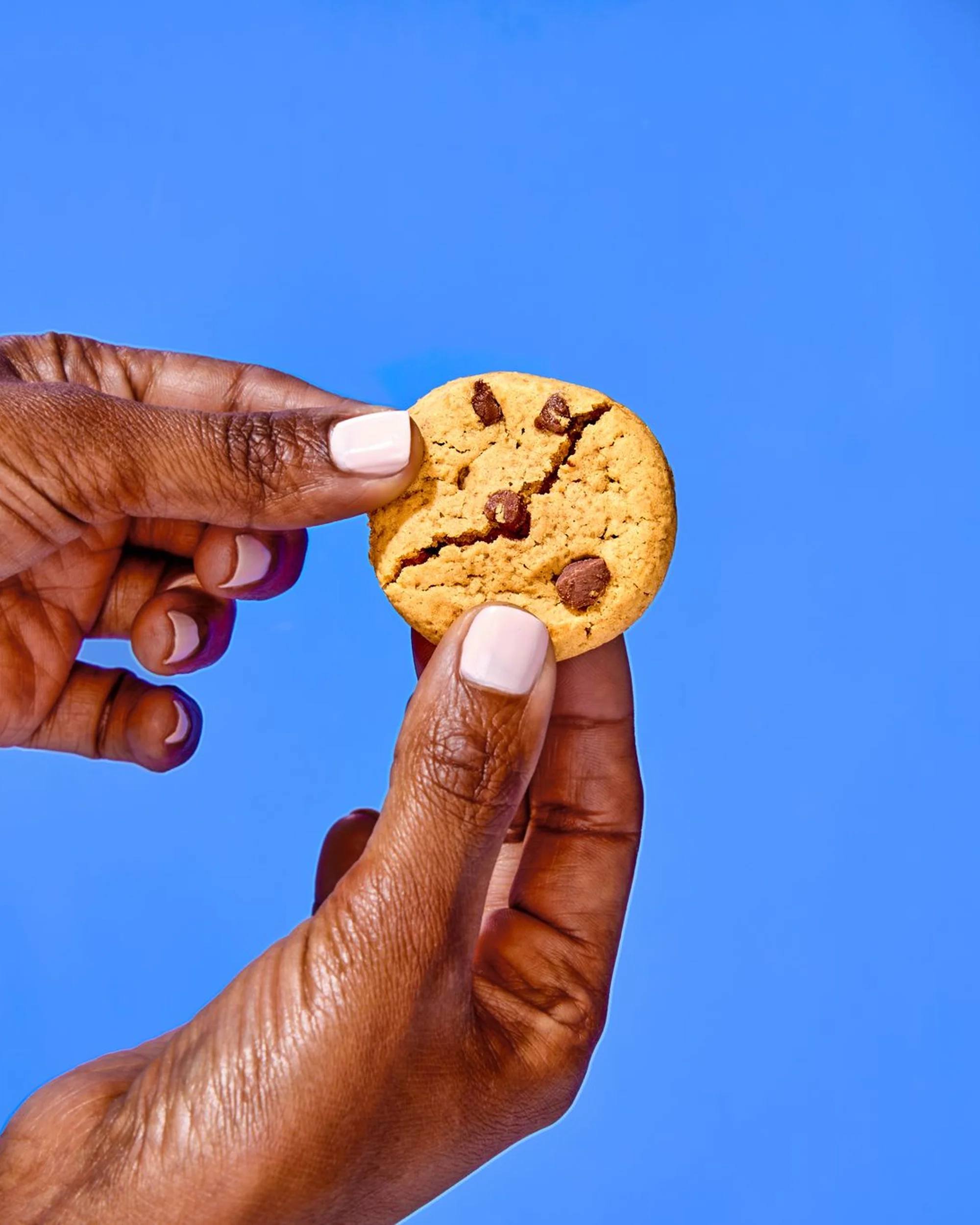 A hand holding a soft baked chocolate chip cookie against a bright blue wall